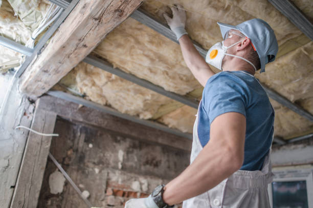 Types of Insulation We Offer in Summerside, OH